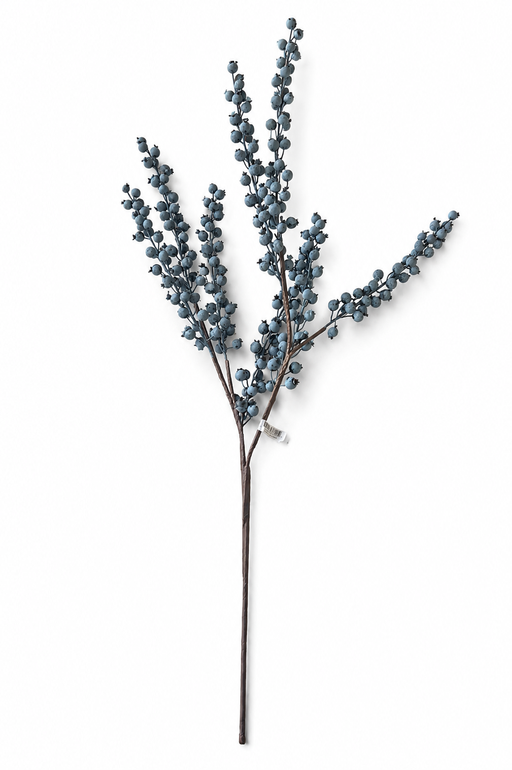Blueberry Spray