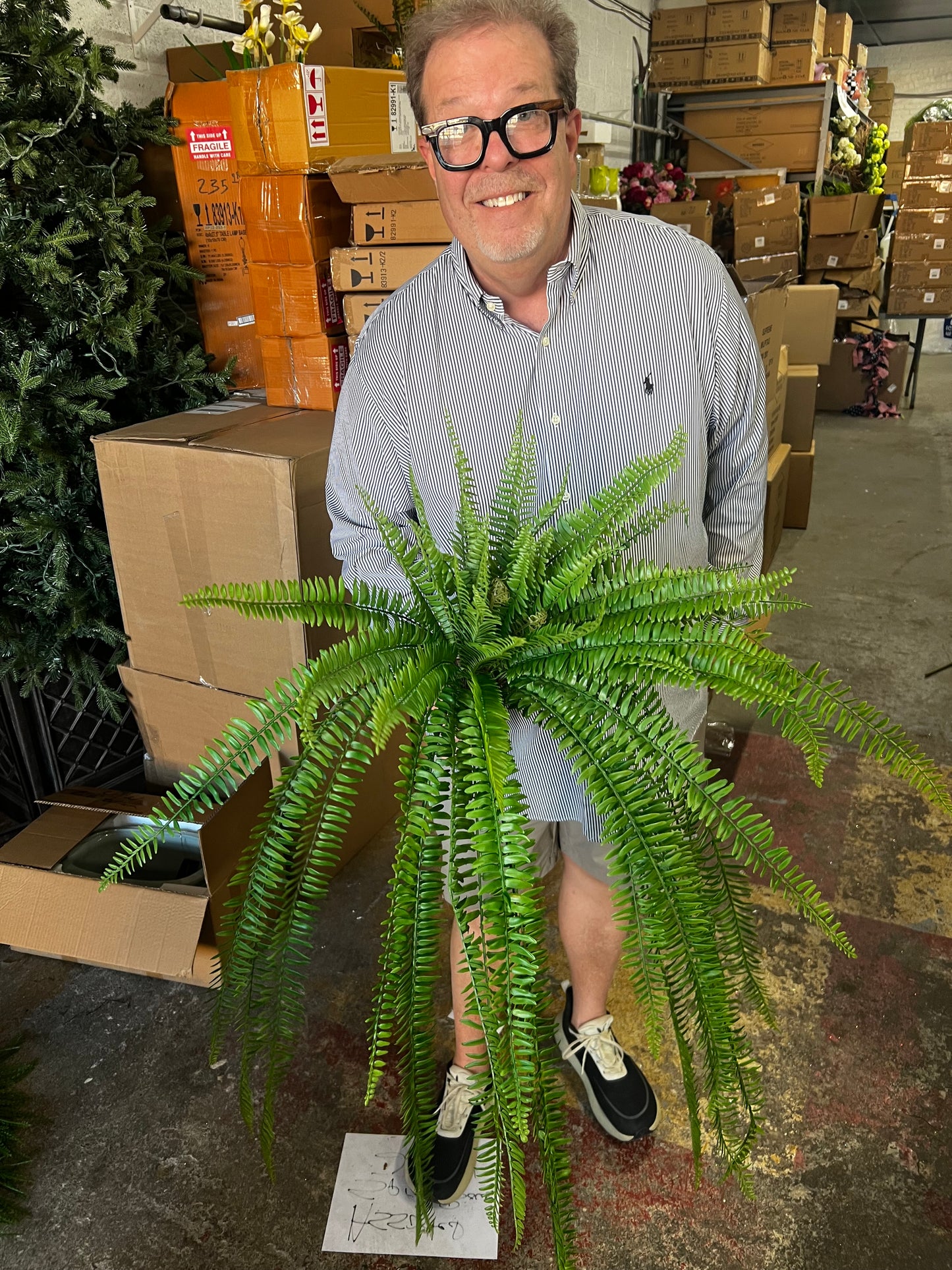 36 Inch UV Protected Boston Fern Bush