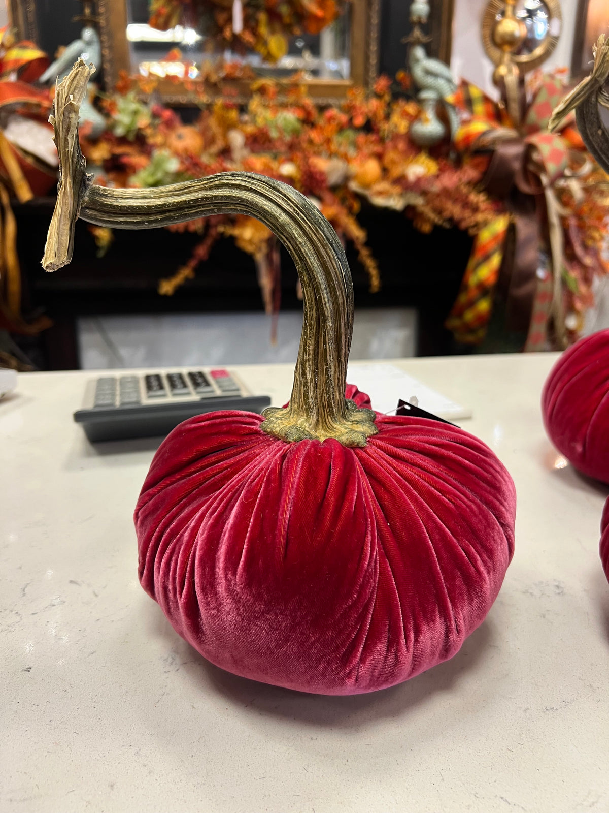 Hot Pink Velvet Bean Weighted Pumpkin with Real Pumpkin Stalk (each stalk will very in size and shape)