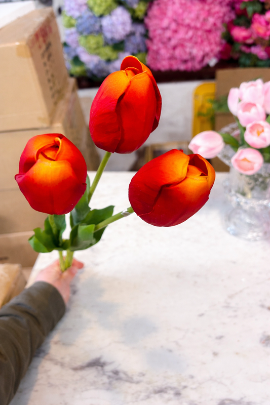 Just Cutt Holland Tulip bundle of 3