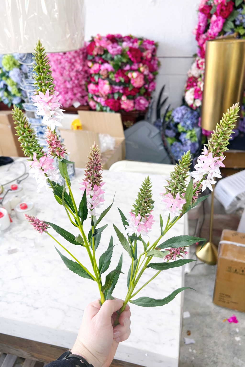 Bundle of two pink pineapple lily stem