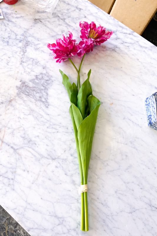 Pink Parrot Tulip Bundle