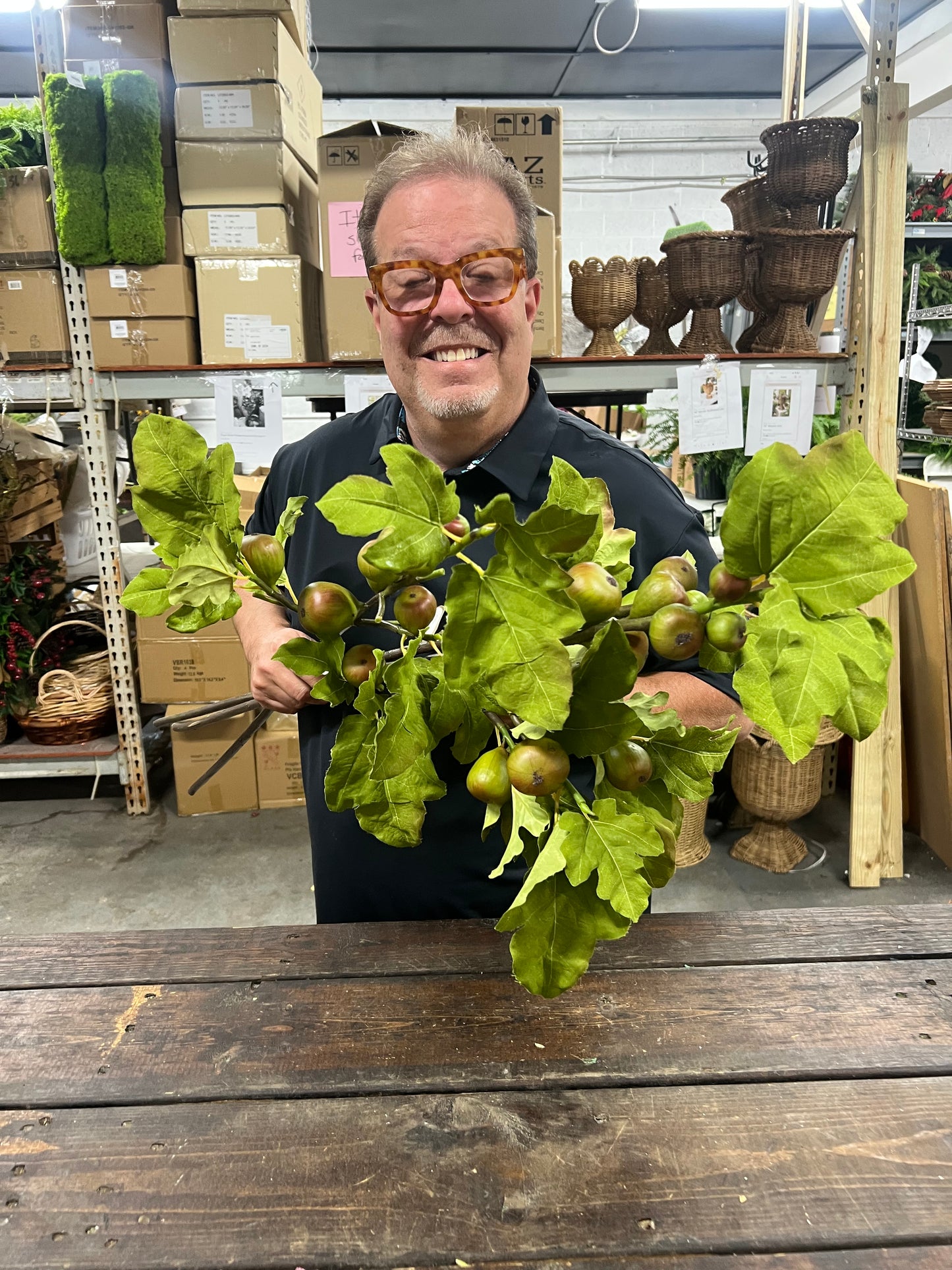 Green/Burgundy Fig Branch