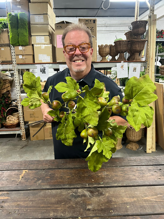 Green/Burgundy Fig Branch