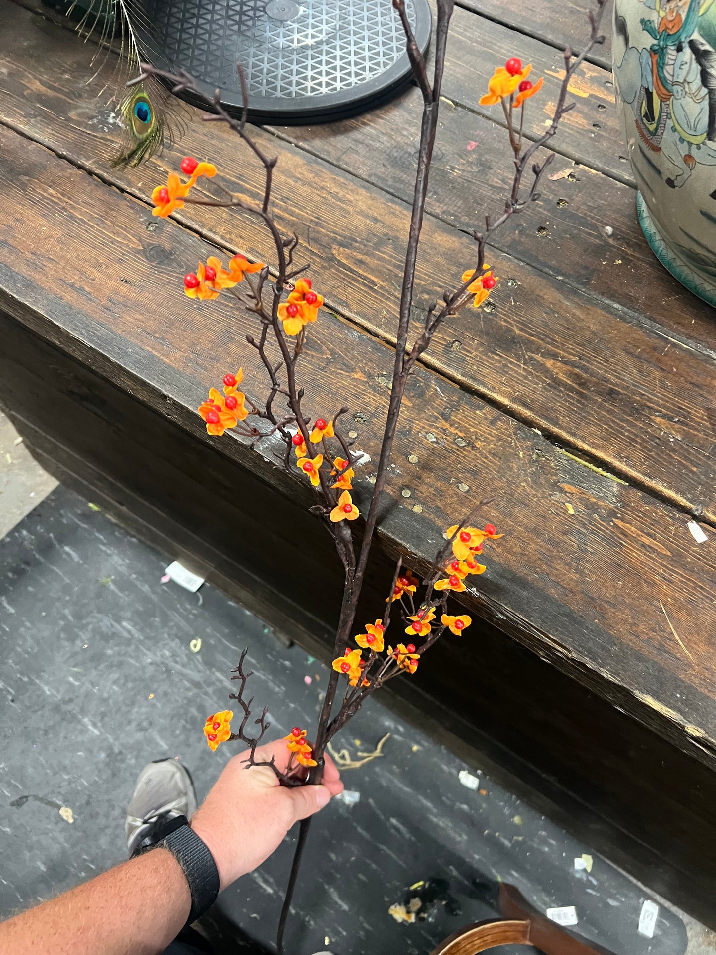 Ozark Bittersweet Branch