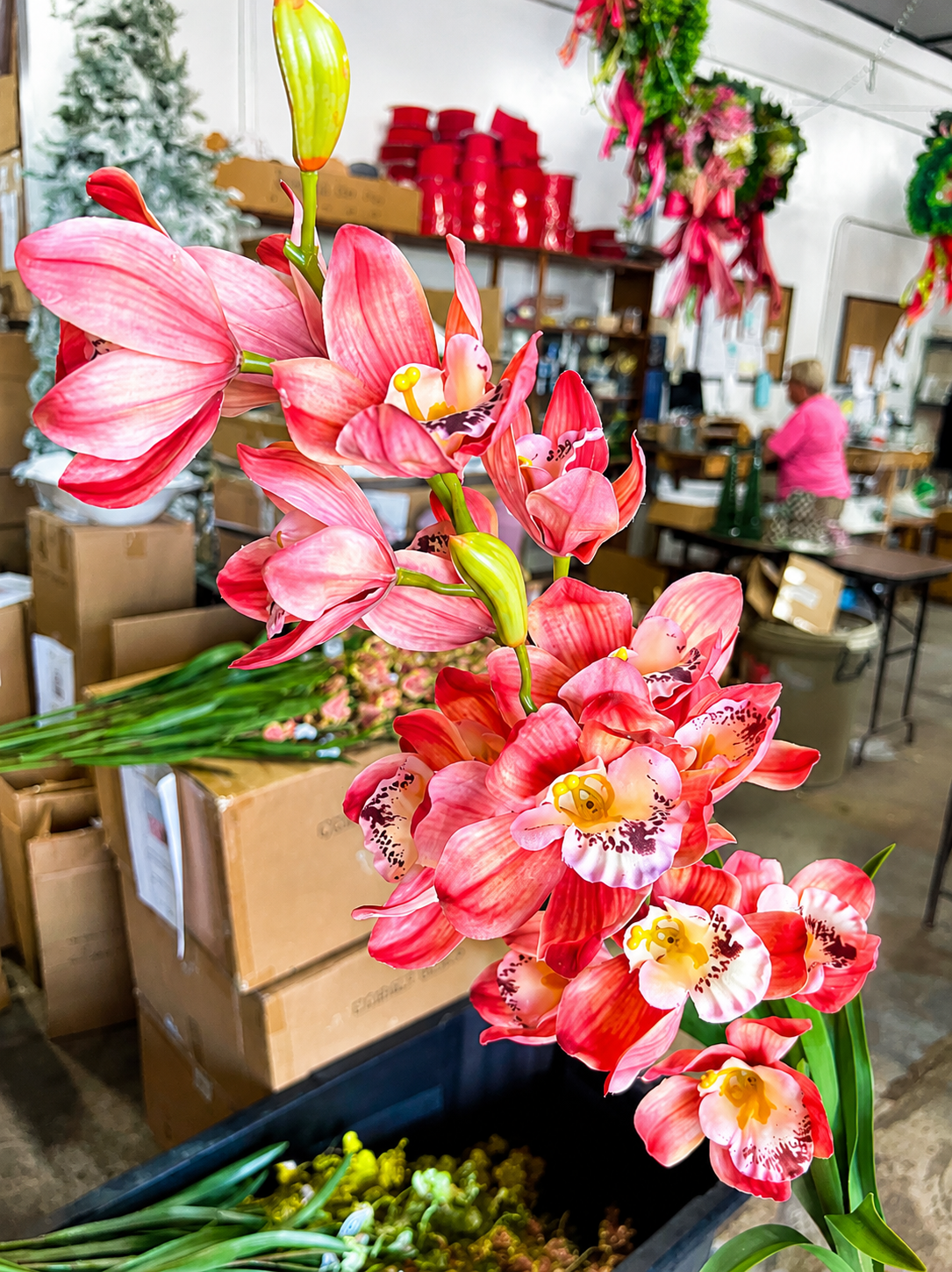 42” Coral Cymbidum Orchid Double Stem