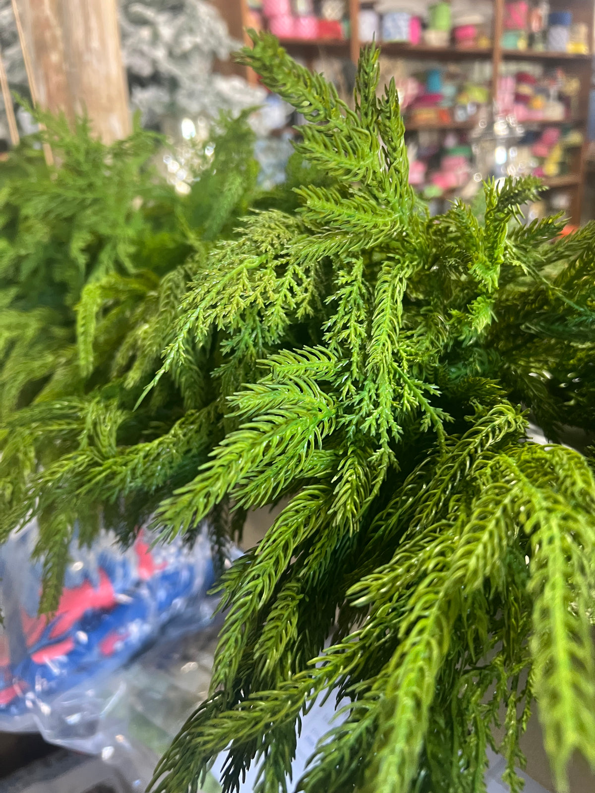 6’ Real Touch Cedar/Norfolk Pine Garland (6)(RG)