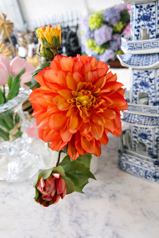 Daffodil spray coral