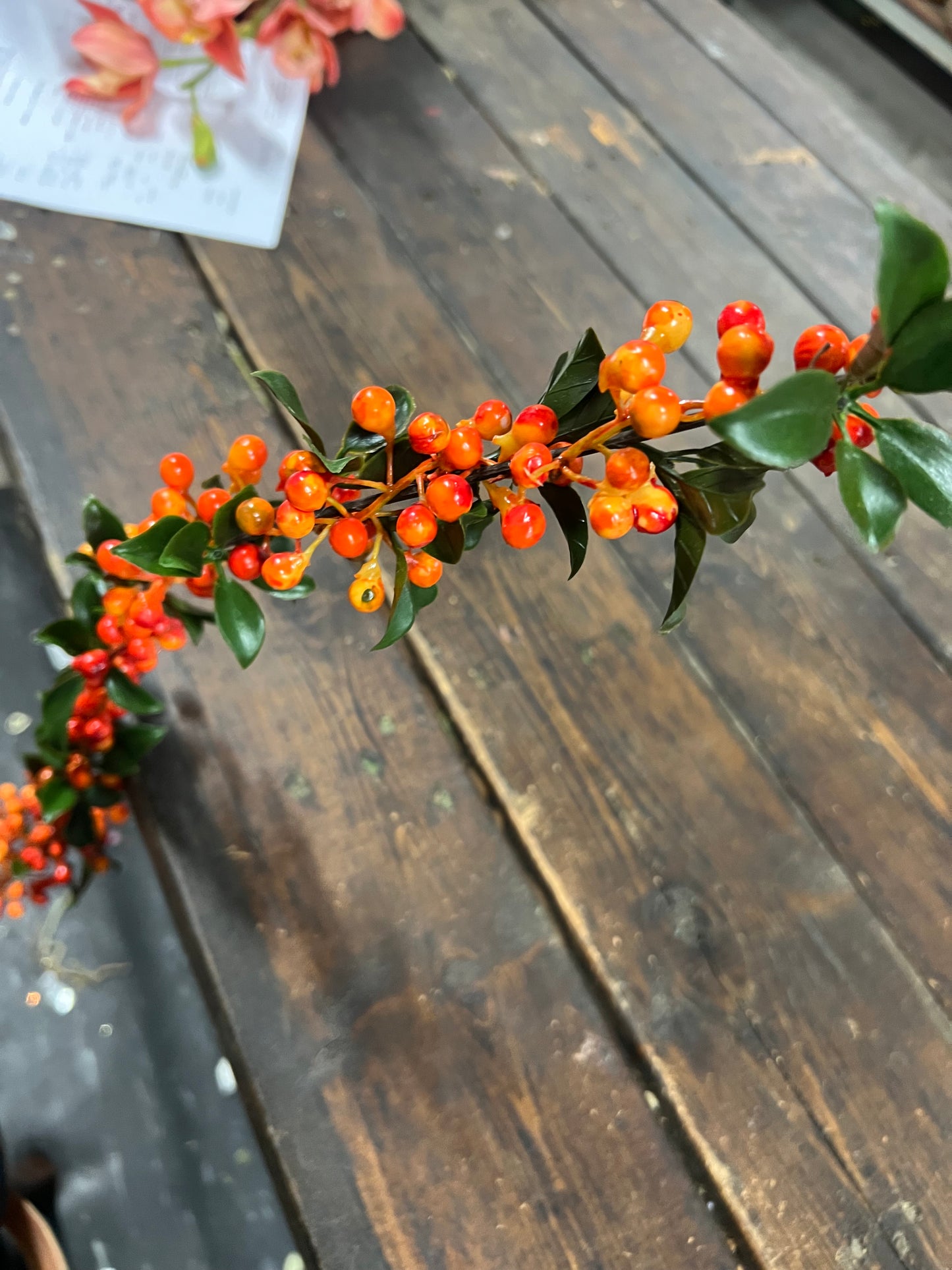 Orange Berry Spray