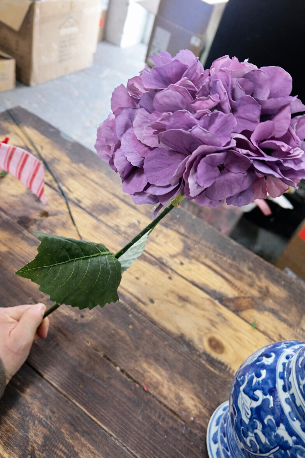 Estate Garden Hydrangea Purple