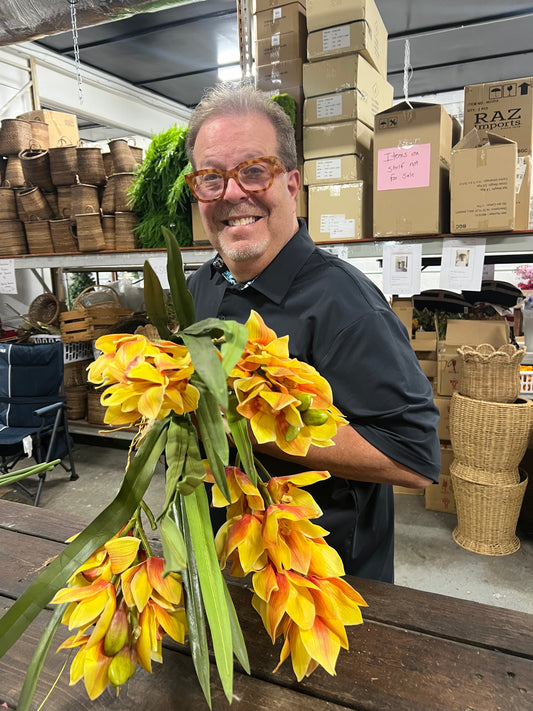Orchid Cymbidium Plant