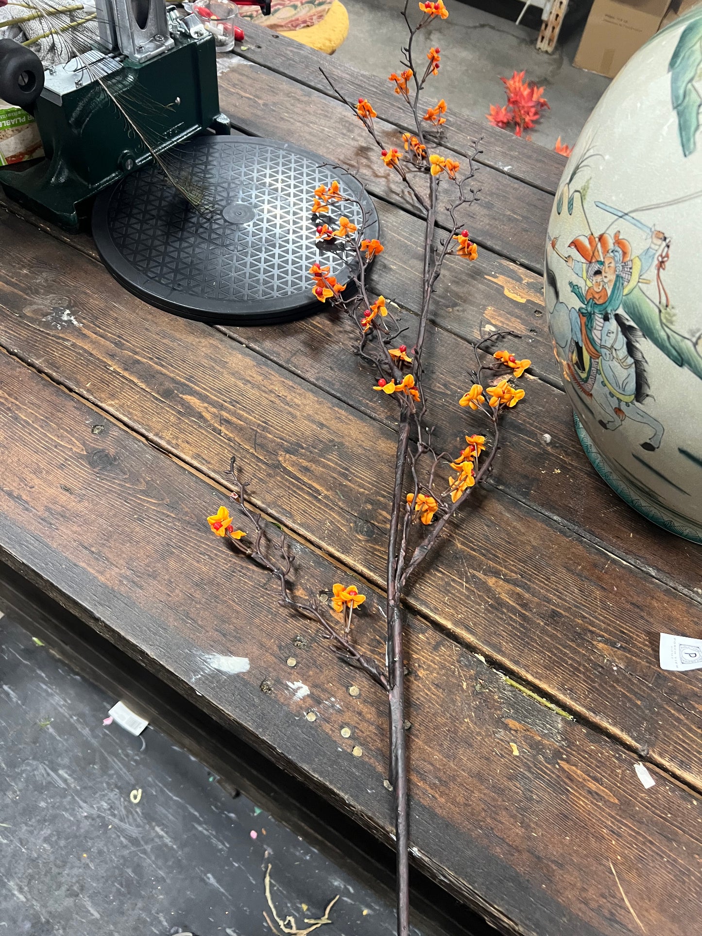Ozark Bittersweet Branch