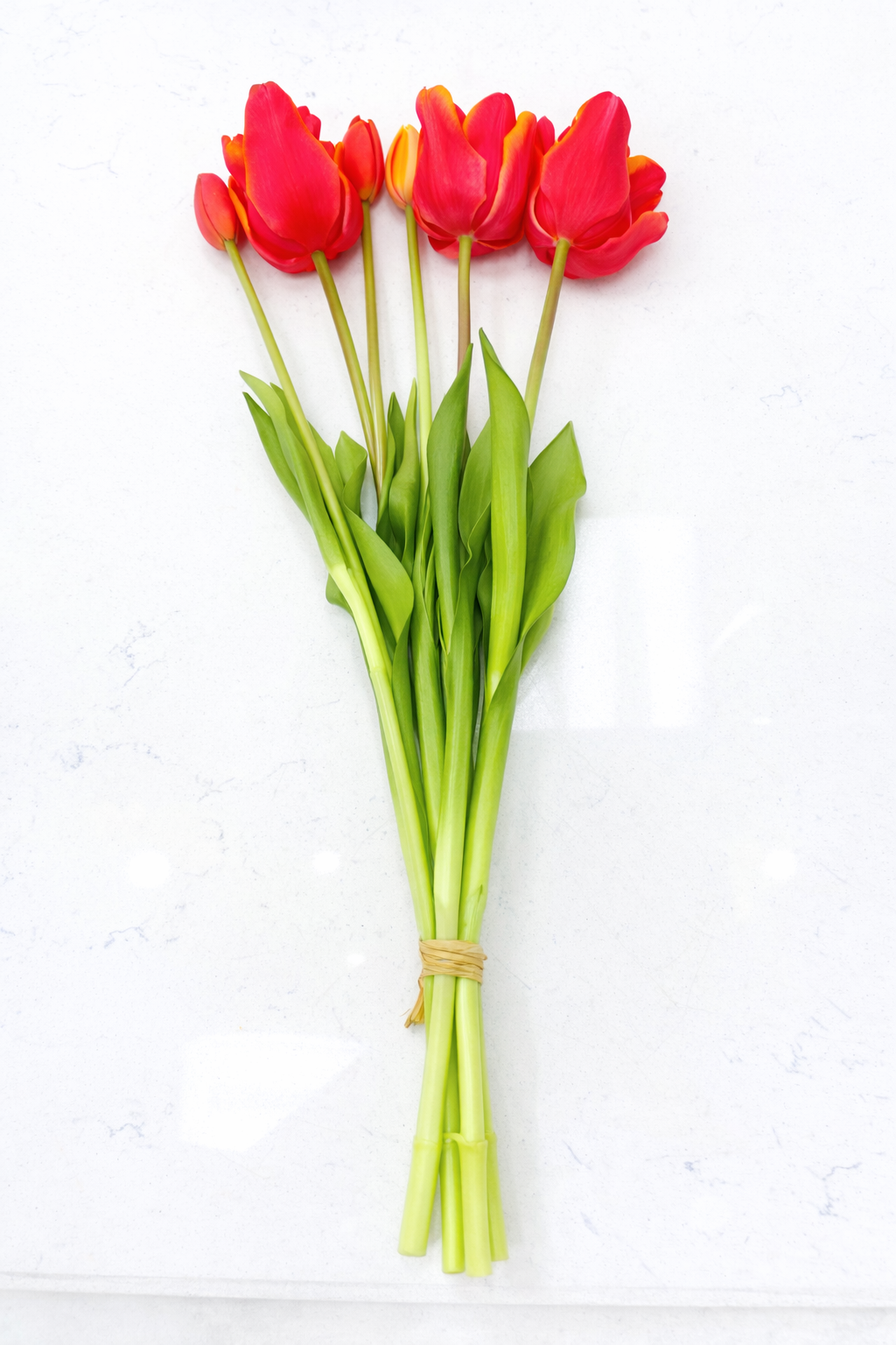 Real Touch Coral with Warm Orange long Tulip Bundle