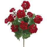 Red Summer Geranium Long Stem