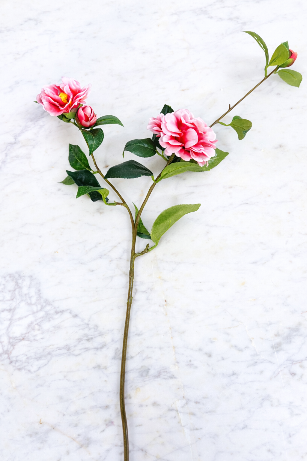 Pink and White Camellia Spray