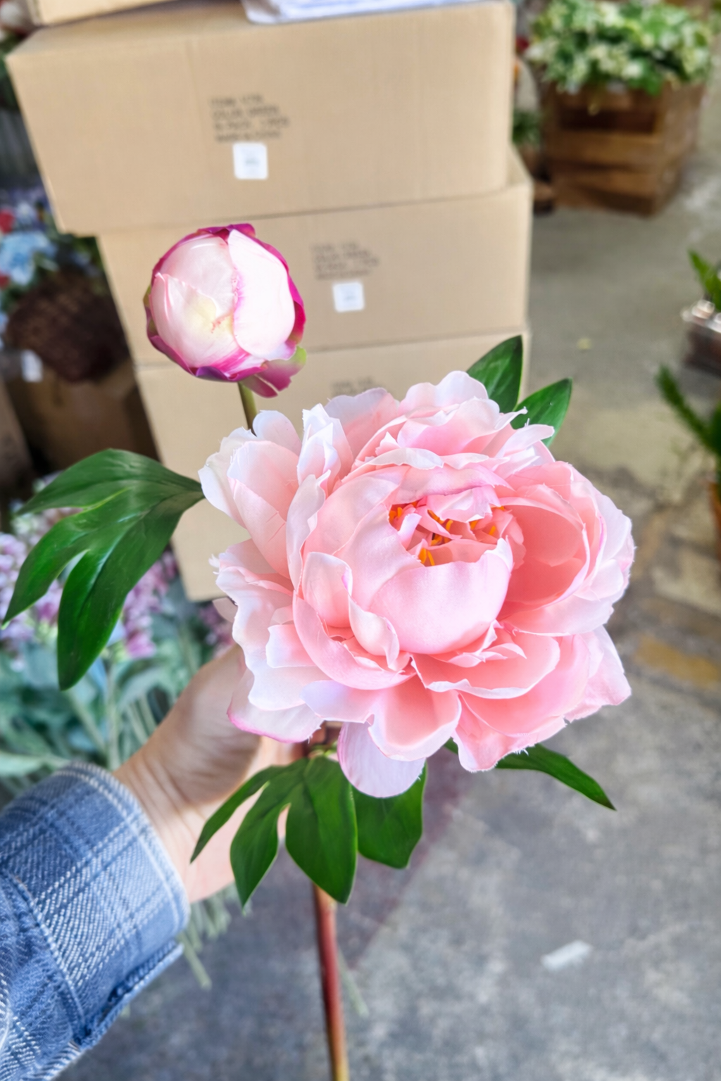 Soft touch pink peony spray with Bud