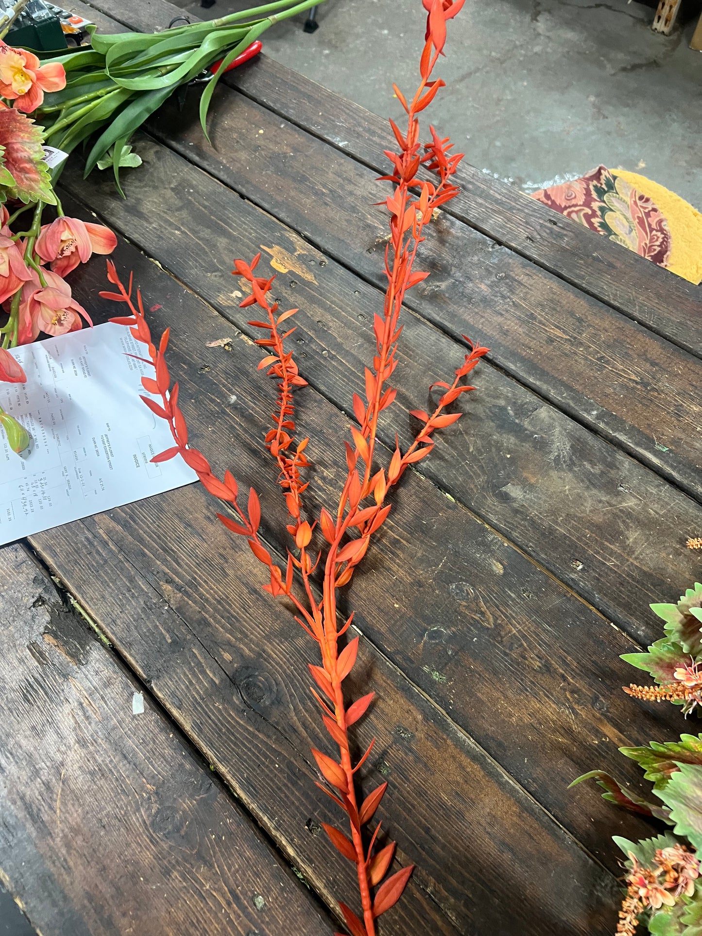 Eucalyptus Parvifol Leaf Spray