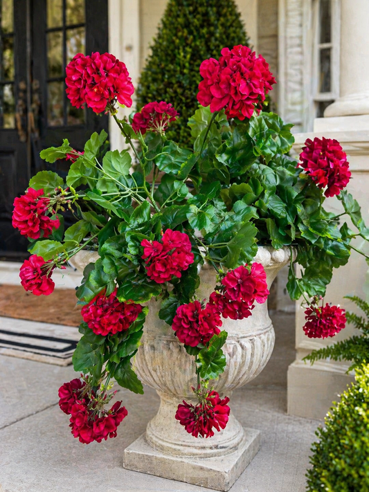 21” Red geranium hanging bush