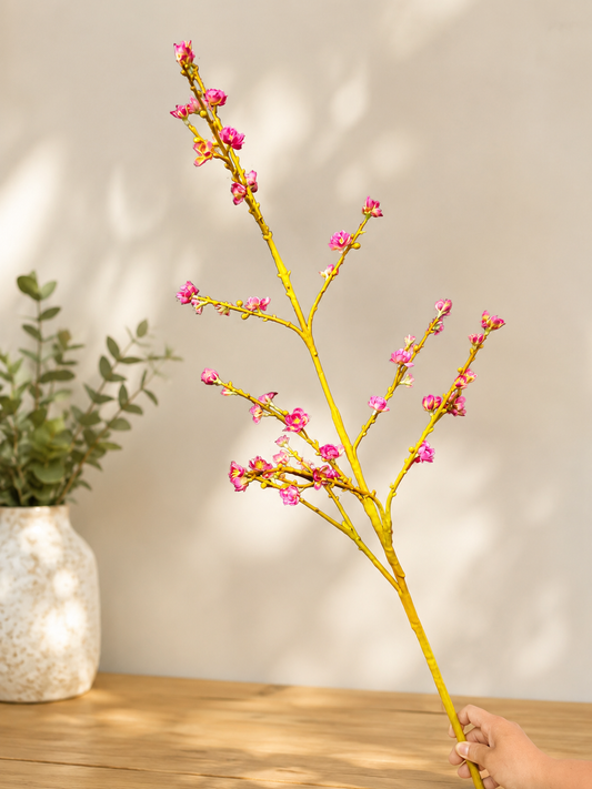 Plum Blossom Branch