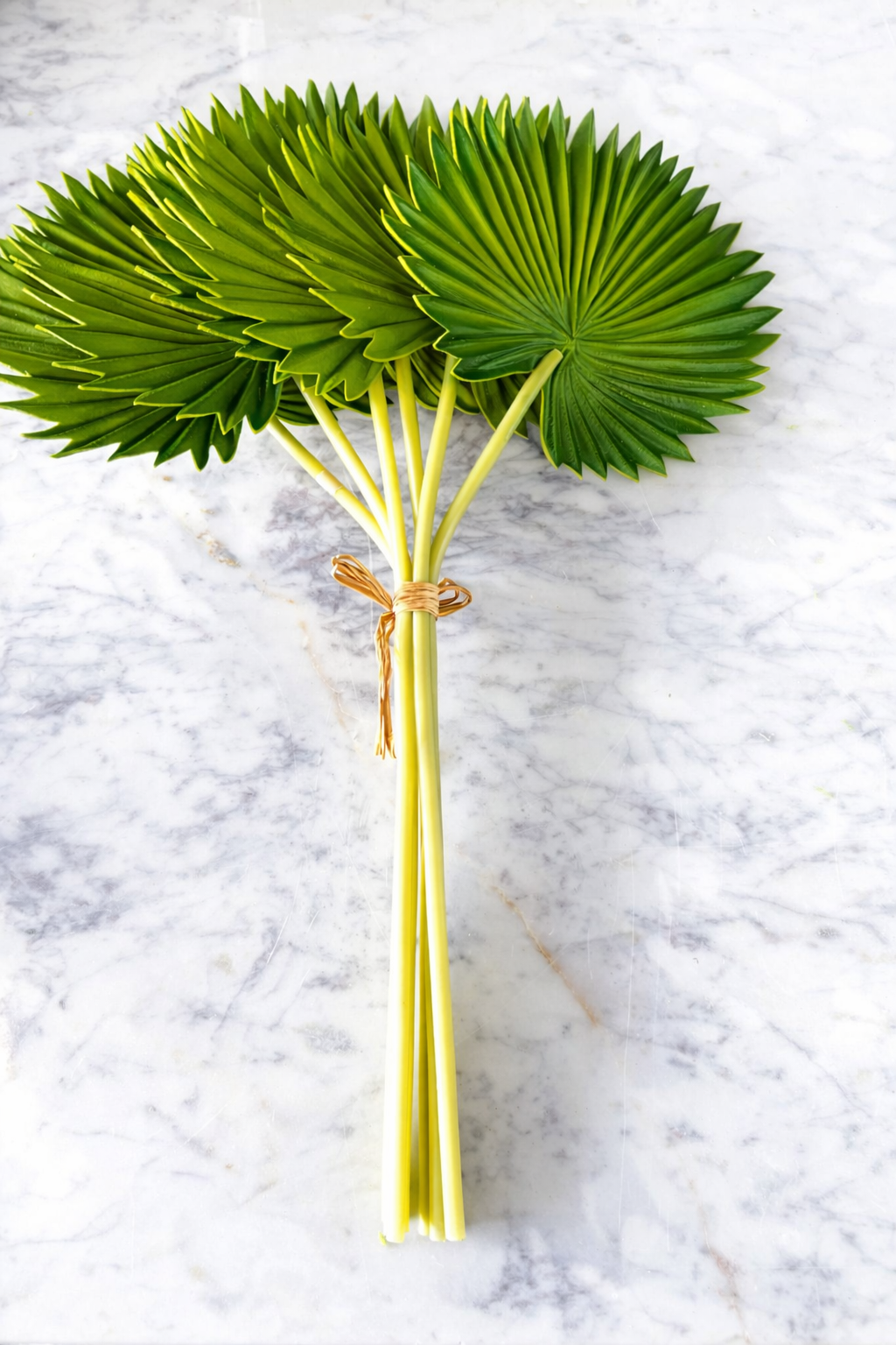 Palm bundle of 6