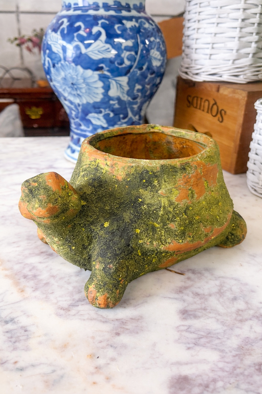 Turtle Planter