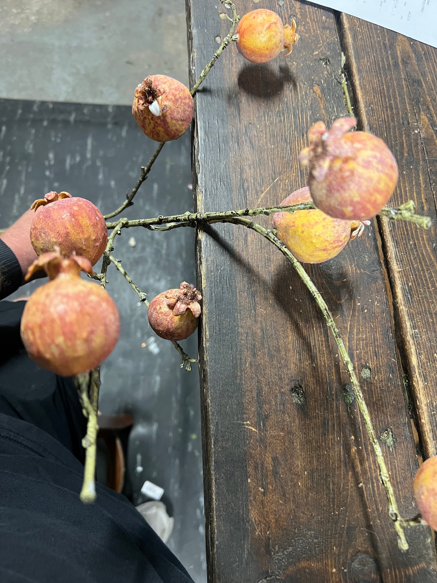 Pomegranate Branch Sunset Orange