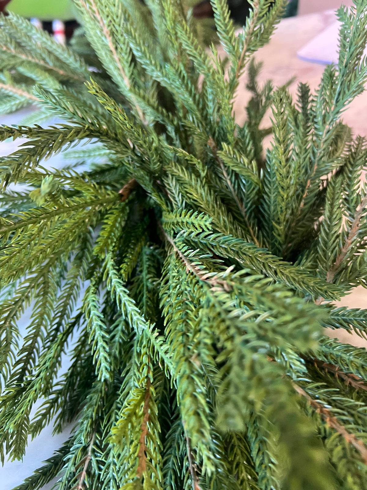 52” Australian Pine Swag