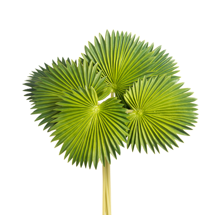 Palm bundle of 6