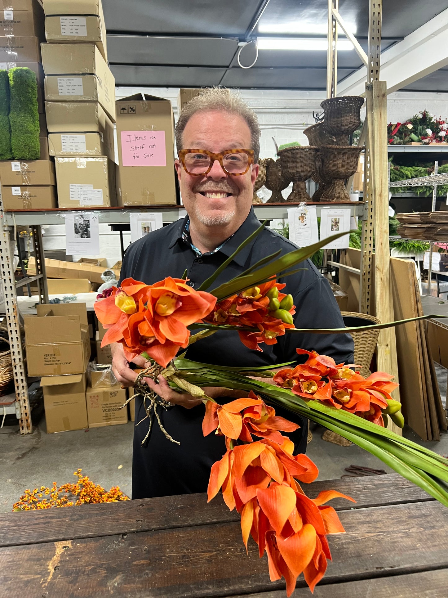 Burnt Orange Orchid Cymbidium Plant