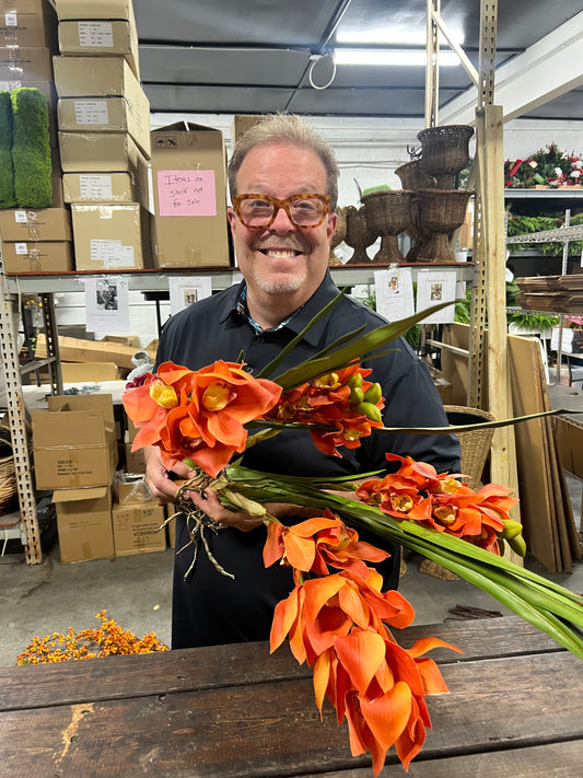 Burnt Orange Orchid Cymbidium Plant