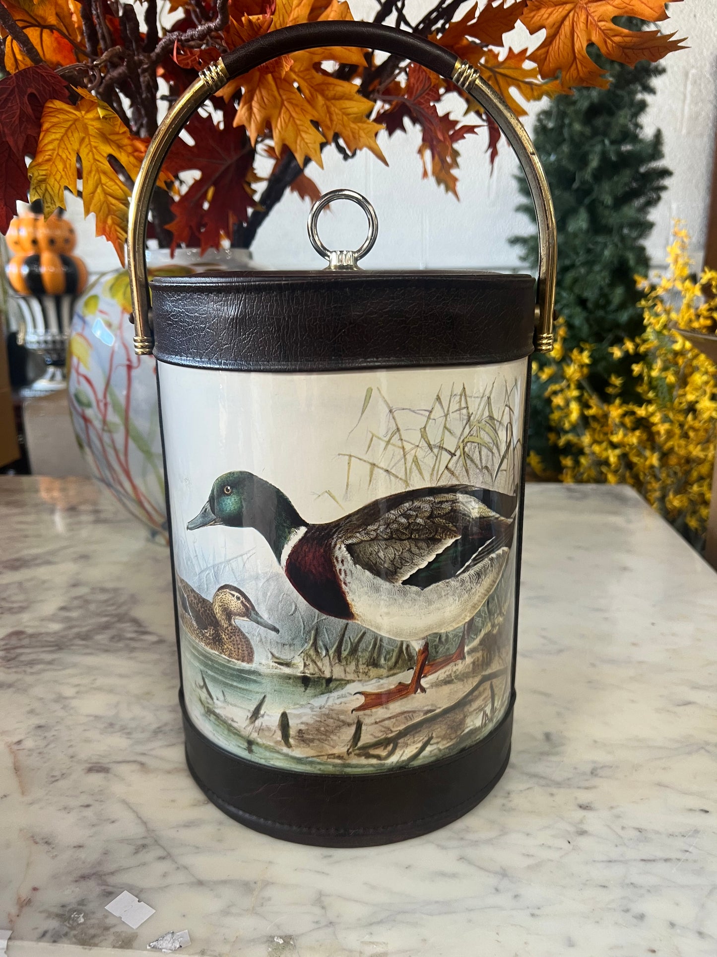 Vintage Duck Ice Bucket with Handle