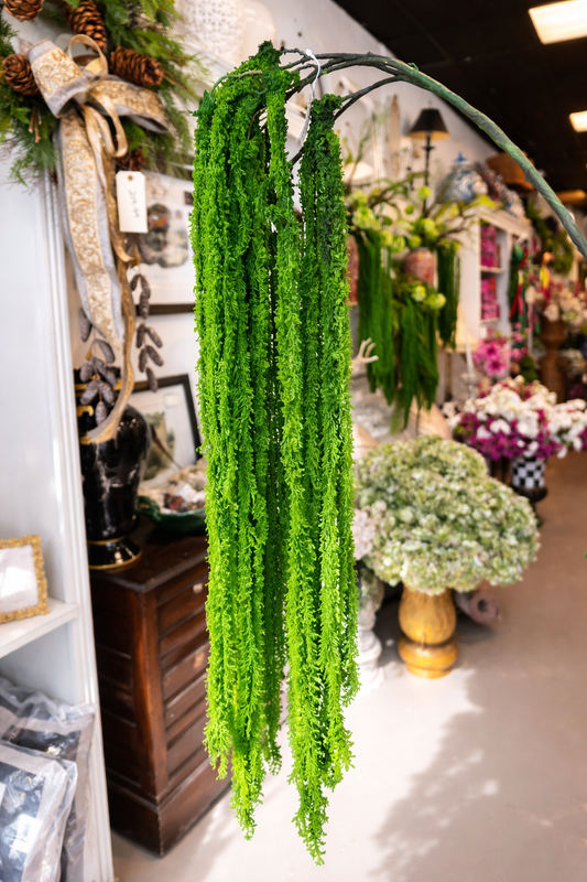Amaranthus Spray