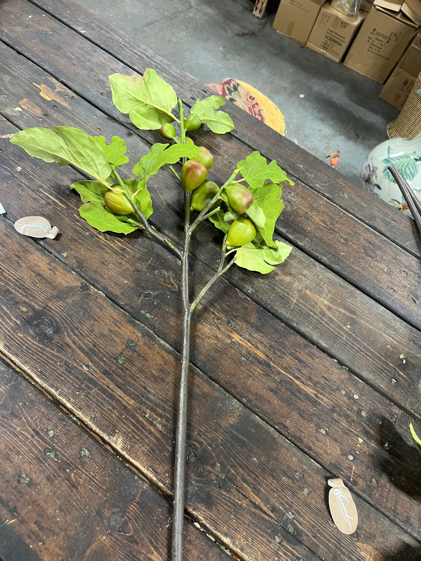Green/Burgundy Fig Branch