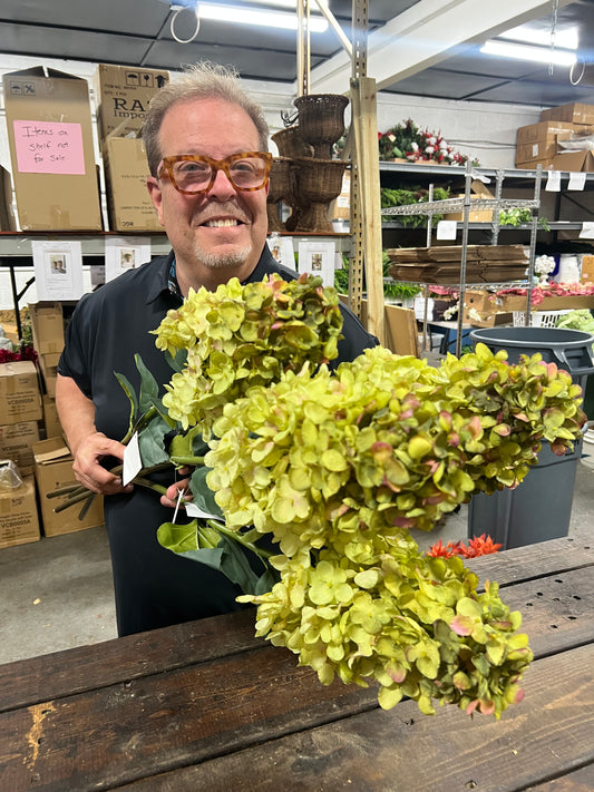 Cone Shaped/Lime Light Hydrangea Stem