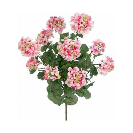 Pink and White Long Stem Summer Geranium