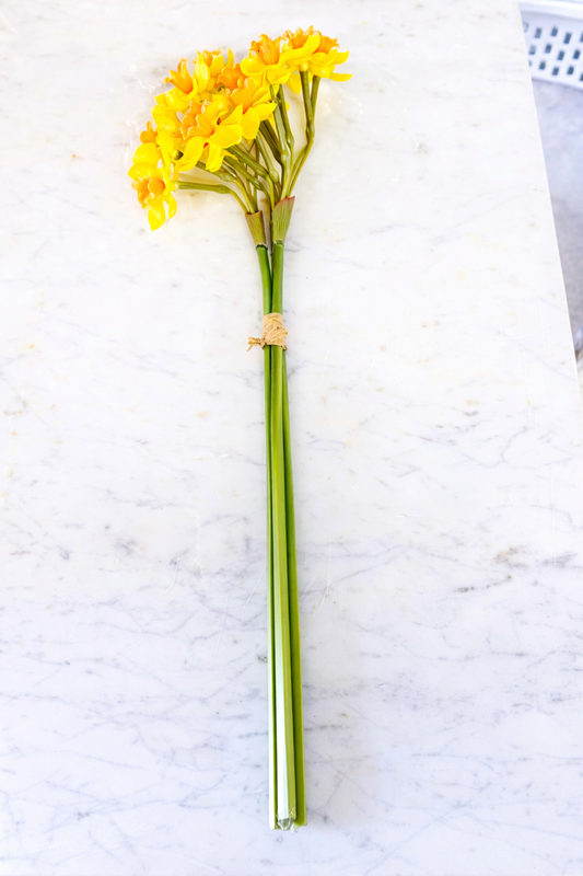 Citrus narcissus stem bundle