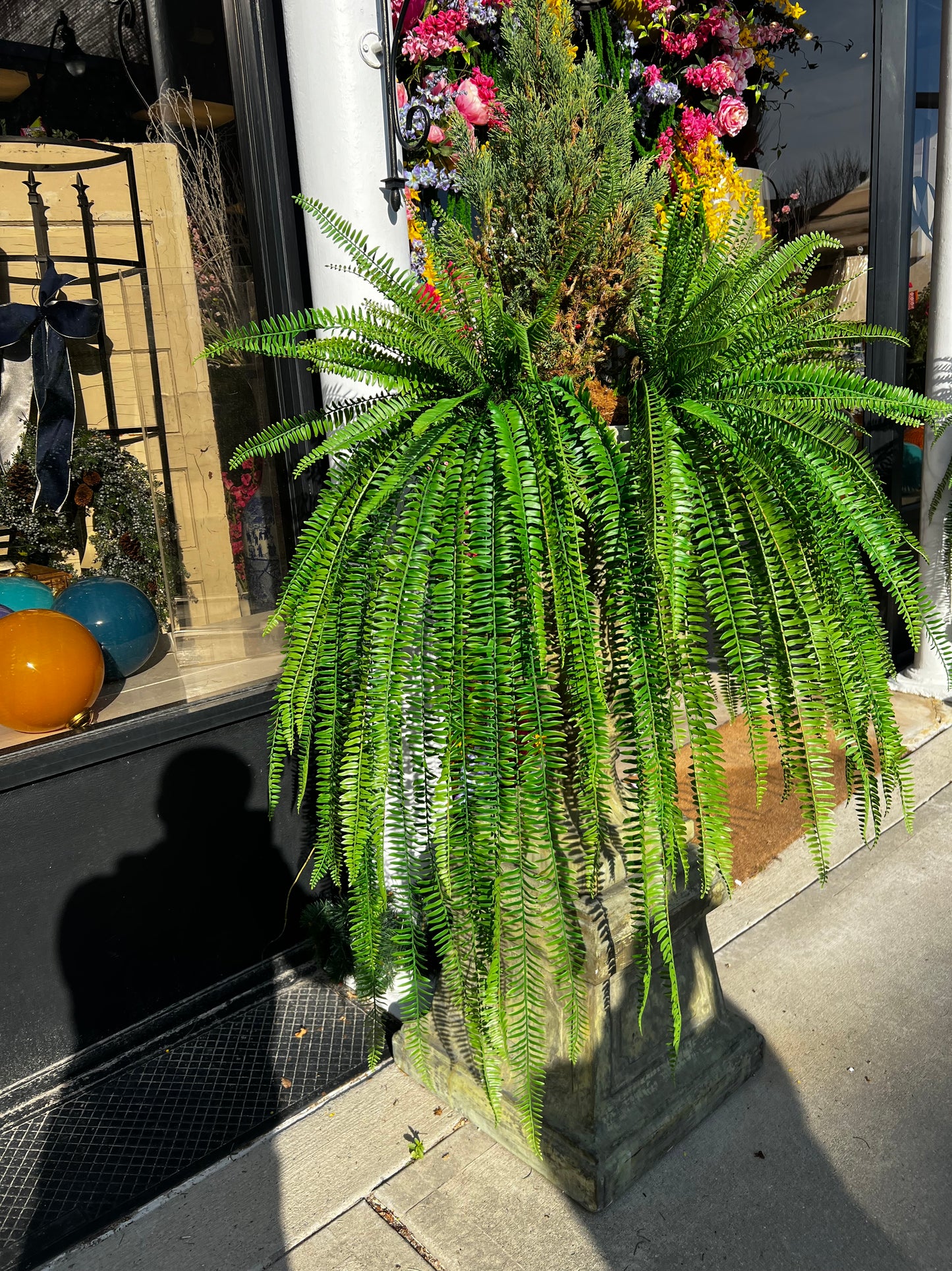36 Inch UV Protected Boston Fern Bush