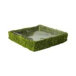 Square Propagation Tray