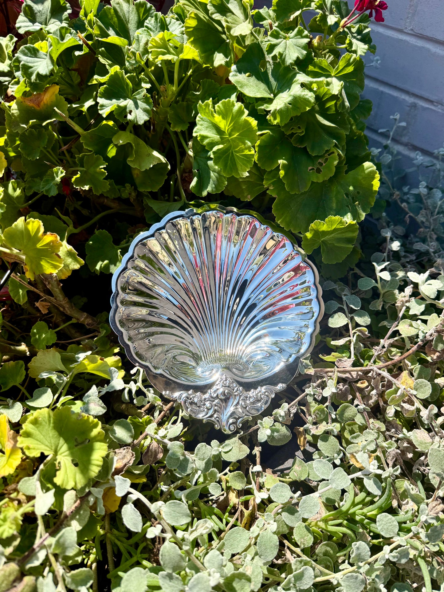 Vintage Silver Plated Wallace Baptismal Shell 3
