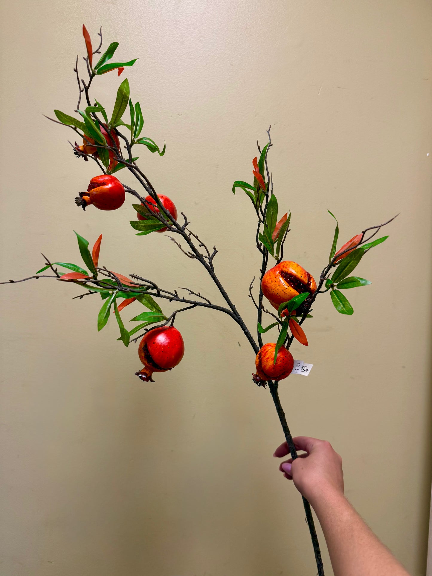Pomegranate Seed Stem