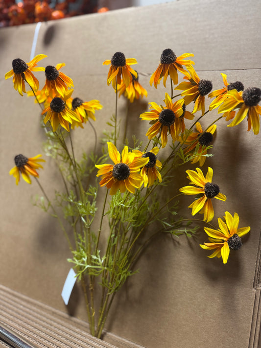 Yellow Brown Eyed Susan Bush