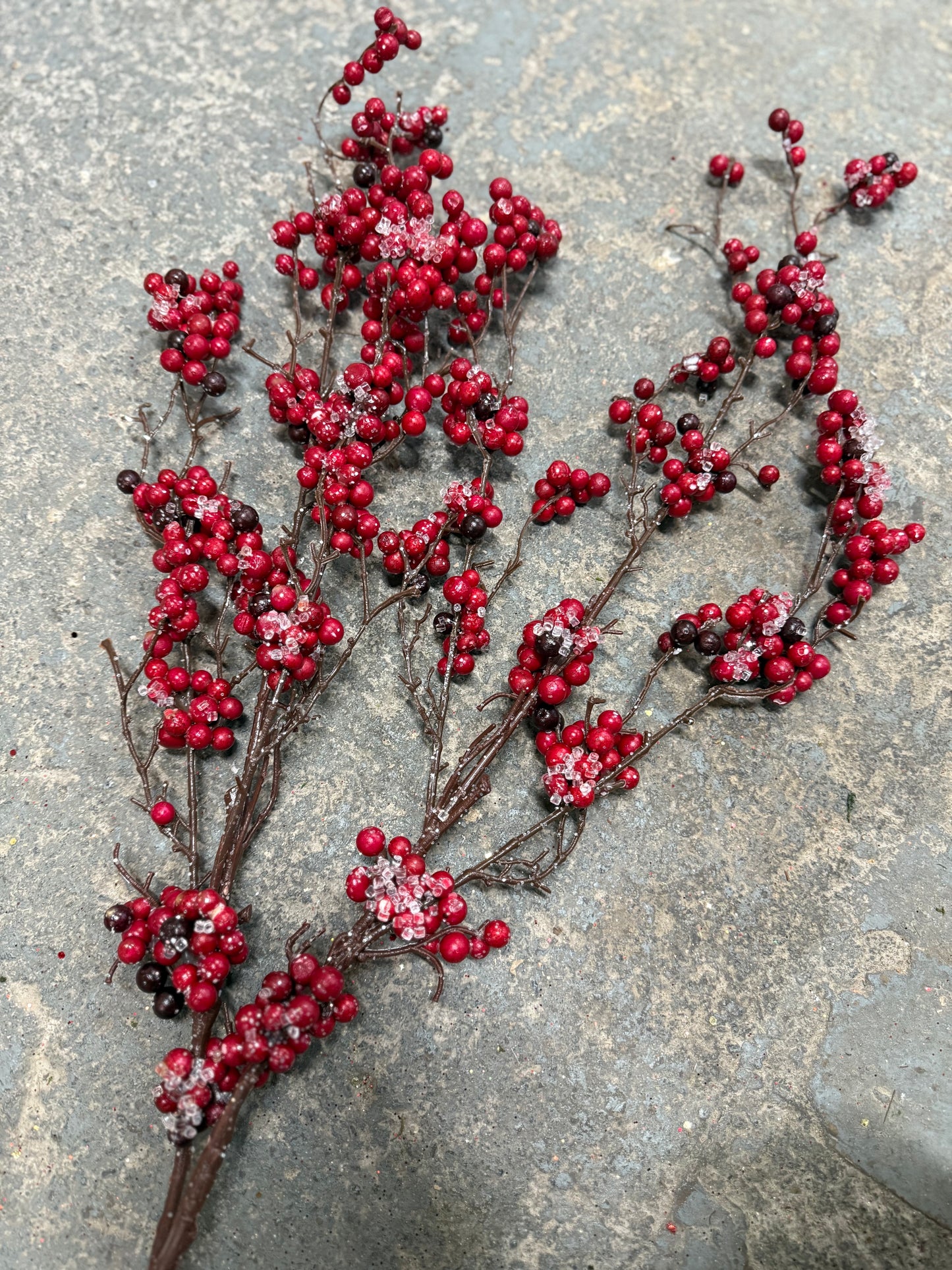 36” Iced Red Berry Stem