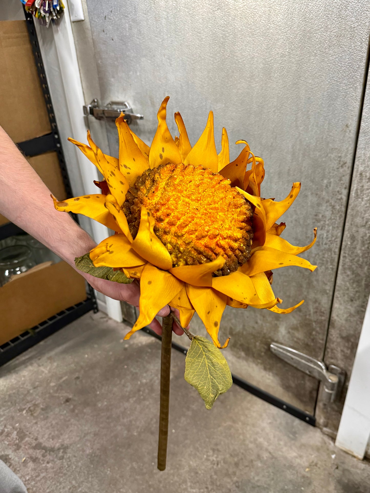 Sunflower Stems