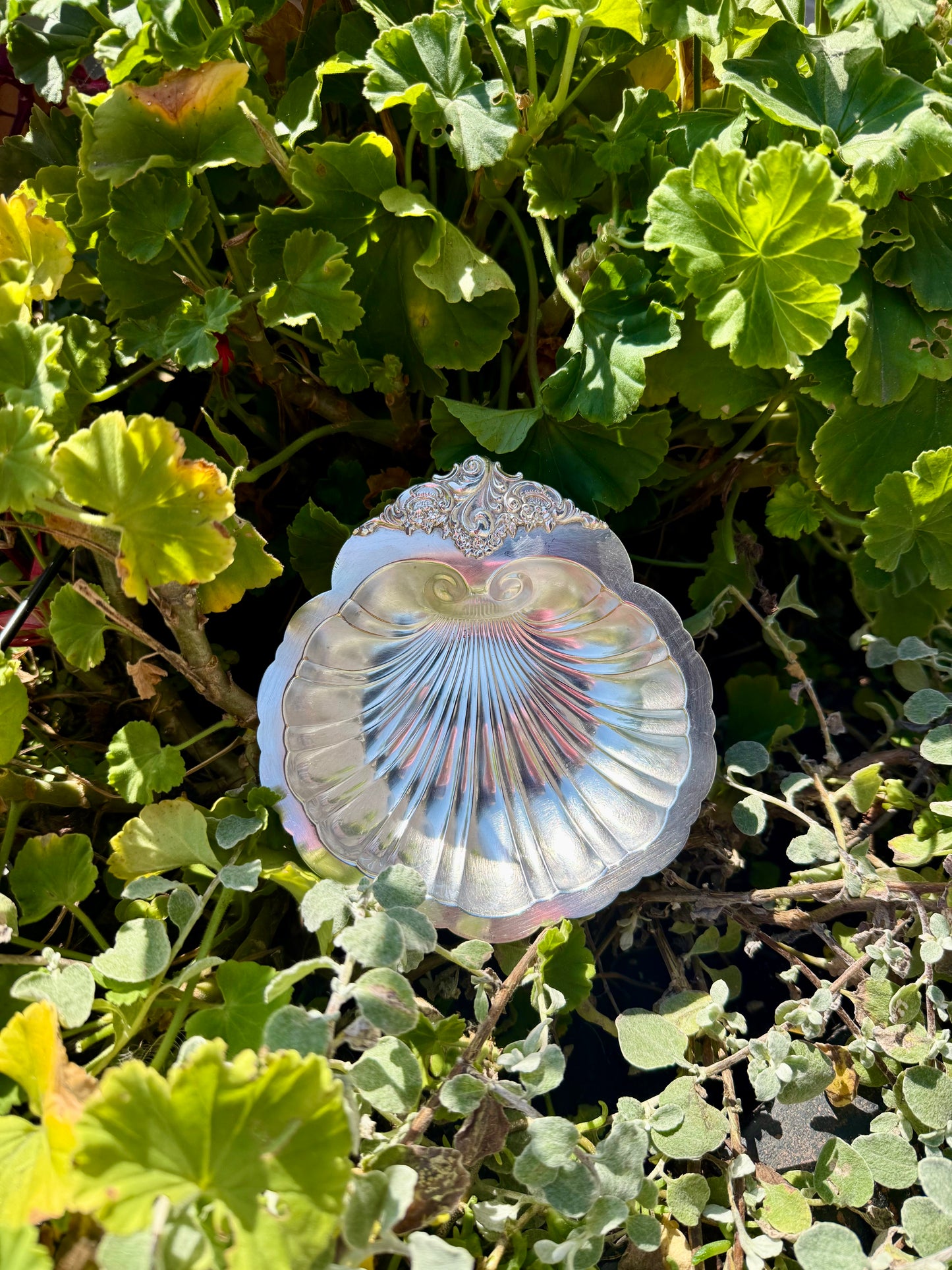 Vintage Silver Plated Wallace Baptismal Shell 2