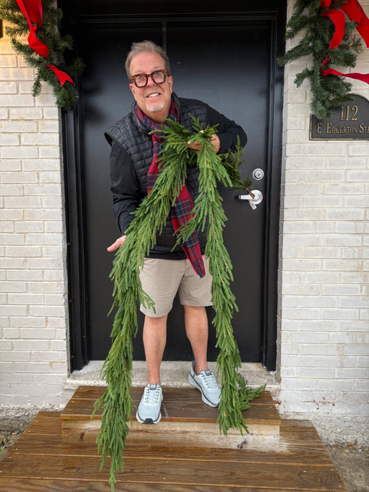 6 Ft Deluxe Austrian Pine Real Touch Garland (#5)