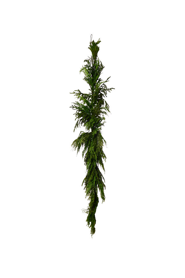 72” Luxury Cyprus Norfolk Pine Swag (#9)