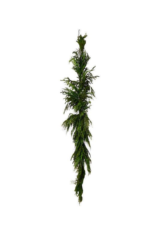 72” Luxury Cyprus Norfolk Pine Swag (#9)