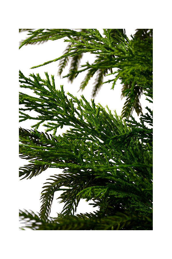72” Luxury Cyprus Norfolk Pine Swag (#9)