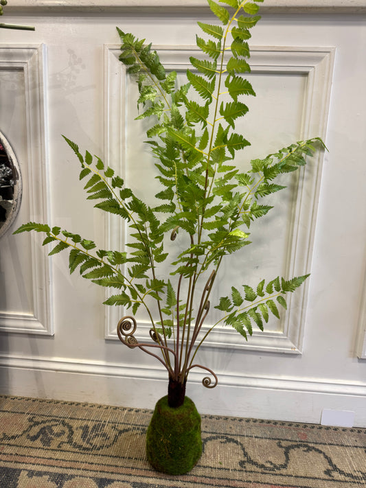 46” moss wrapped drop-in fern