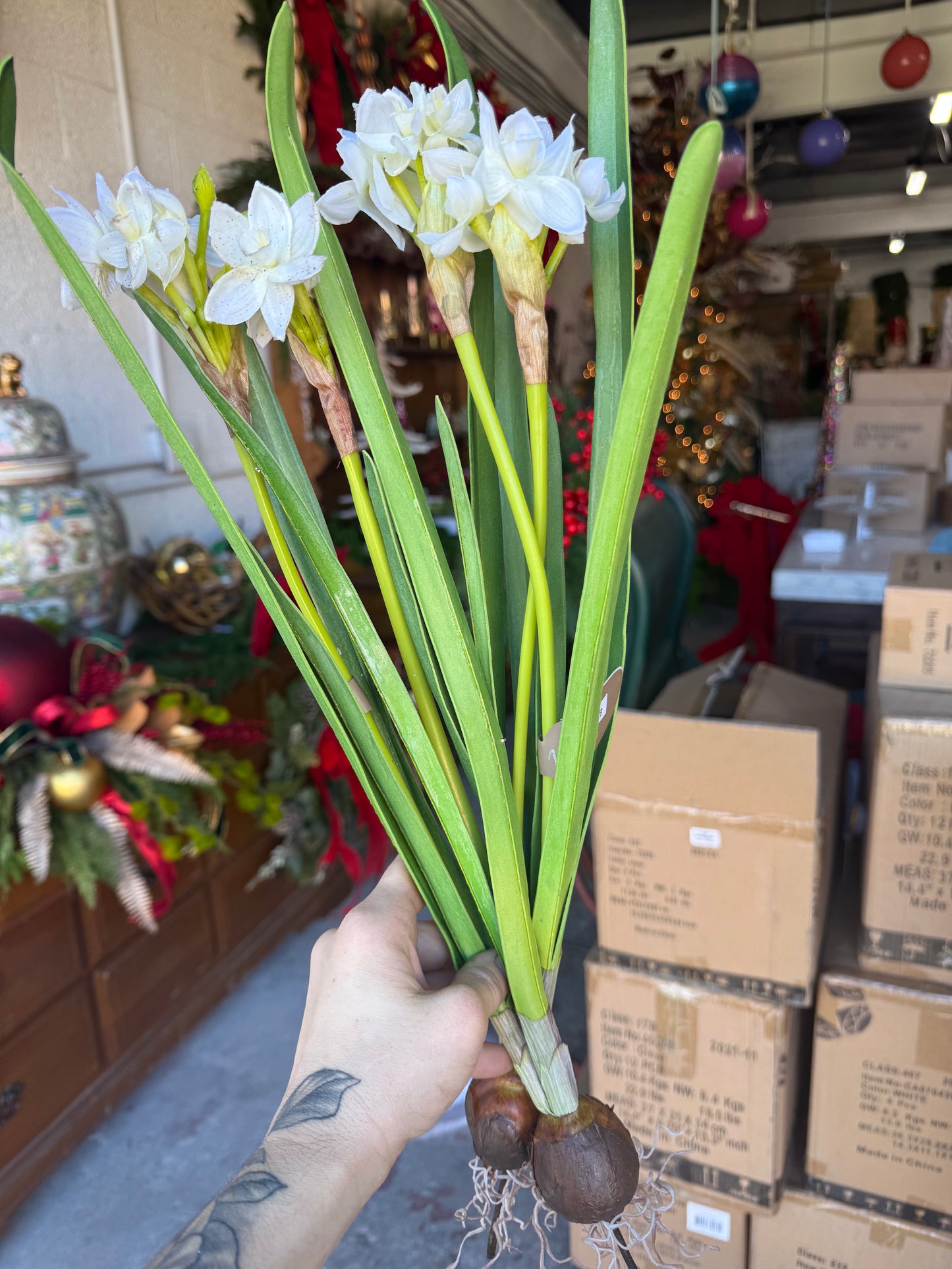 20” Paper White w/ Bulb (2 blooms)